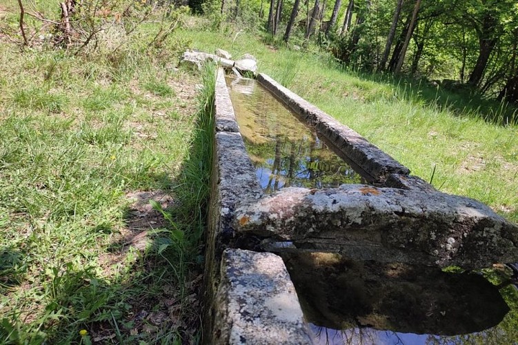 Source des Charbonniers