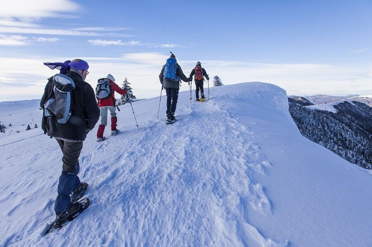 En raquette sur la Montagne de Lure