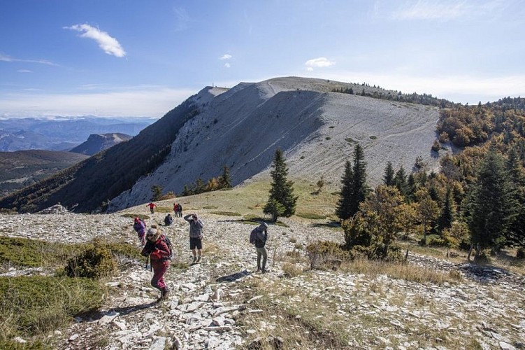 En rando sur la Montagne de Lure