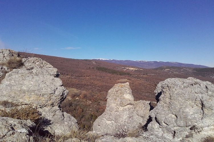 Montagne de Lure depuis les Mourres