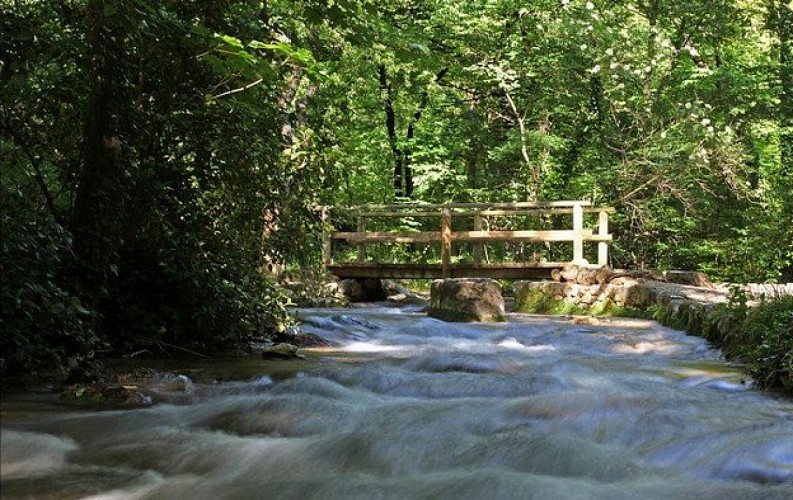 Pont du vieux moulin au parc de Saint-Pons