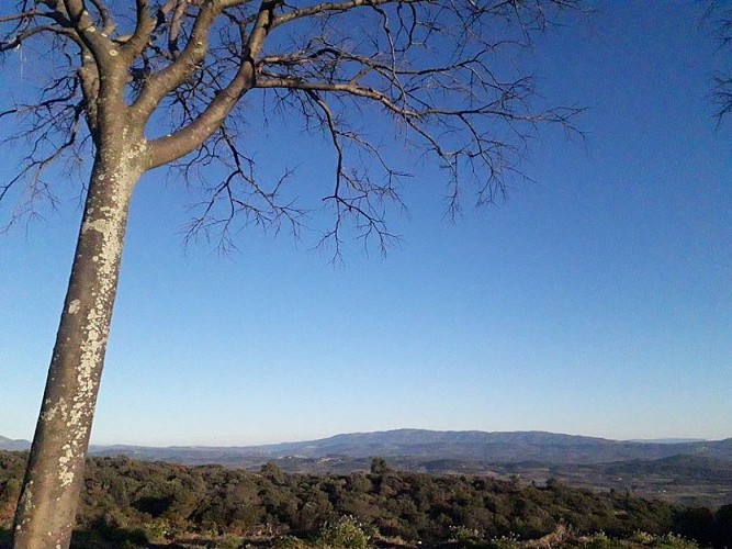 Vue sur Roussillon et le Grand Luberon au loin