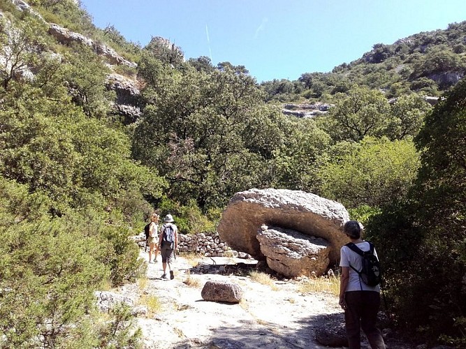 Fond des gorges de Véroncle