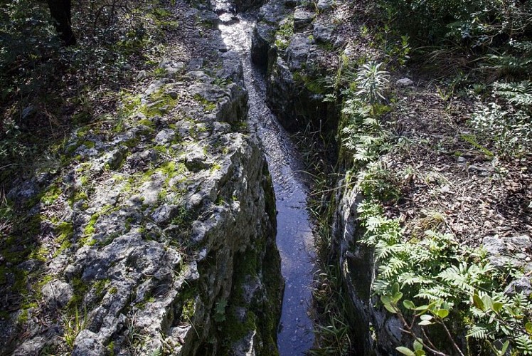 Canal d'alimentation