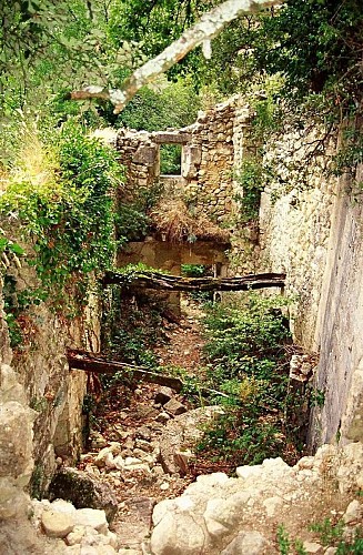 Le moulin de la Charlesse en ruine
