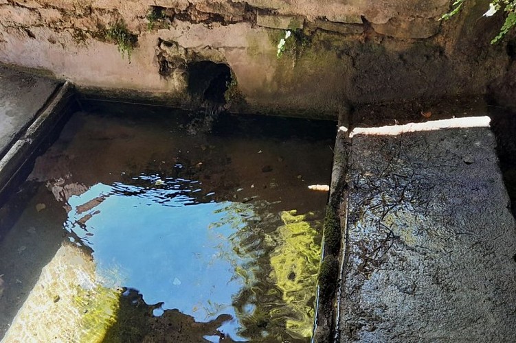 Lavoir de la fontaine basse