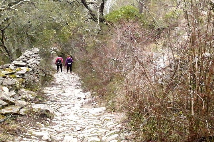 Calade du Coulet de la Sénancole