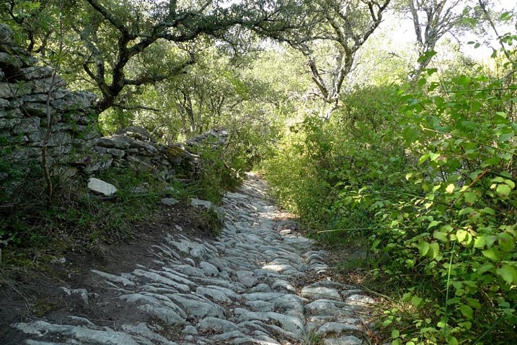 Calade du Coulet de la Sénancole
