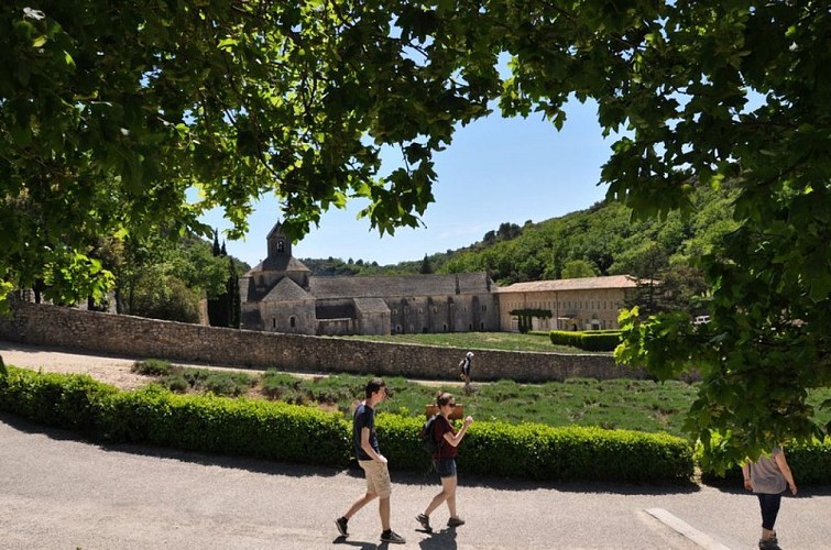 Notre-Dame de Sénanque