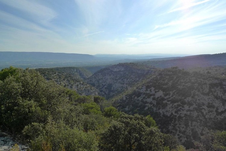 Hauteurs de la Sénacole