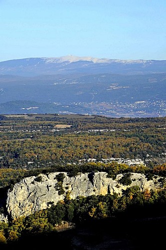 Vue sur le Ventoux depuis les crêtes du Petit Luberon