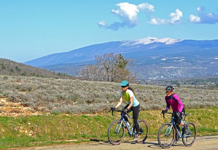 Ventoux, massif de la petite reine !