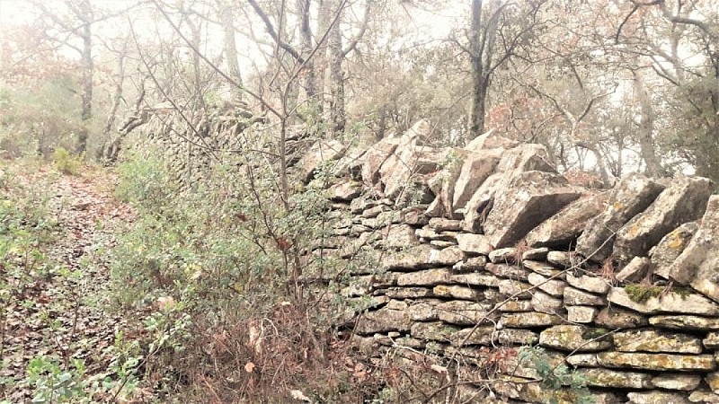 Muret en pierre sèche