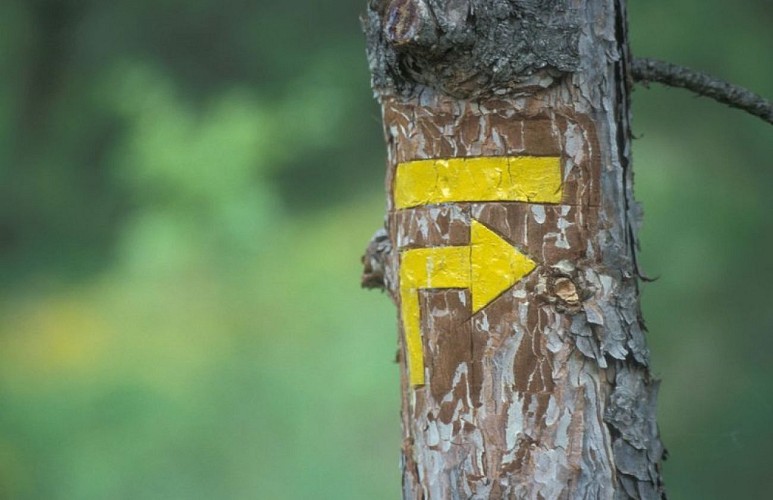 Balisage petite randonnée (PR)