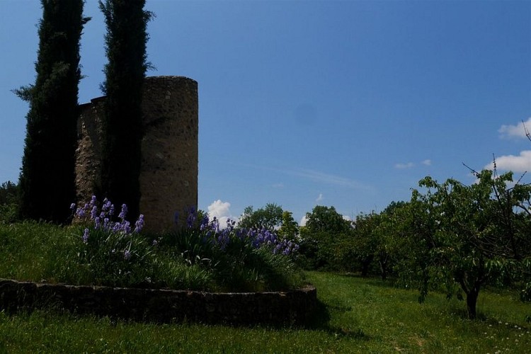 Verger villageois de Grambois