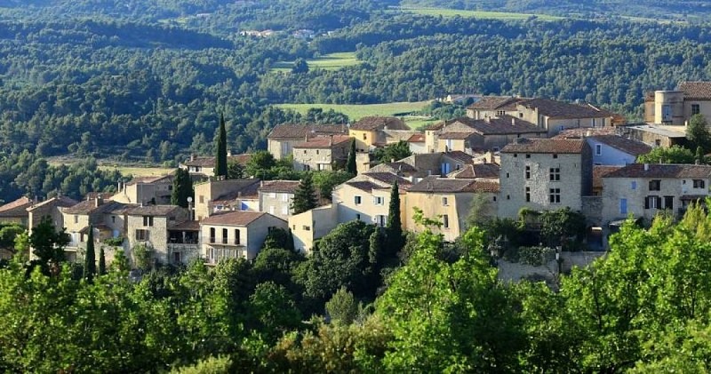 Grand Cyprès de Grambois