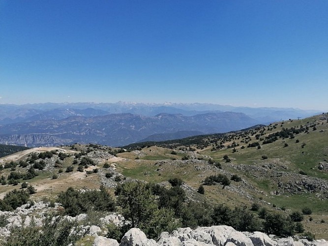 Vue sur le Mercantour