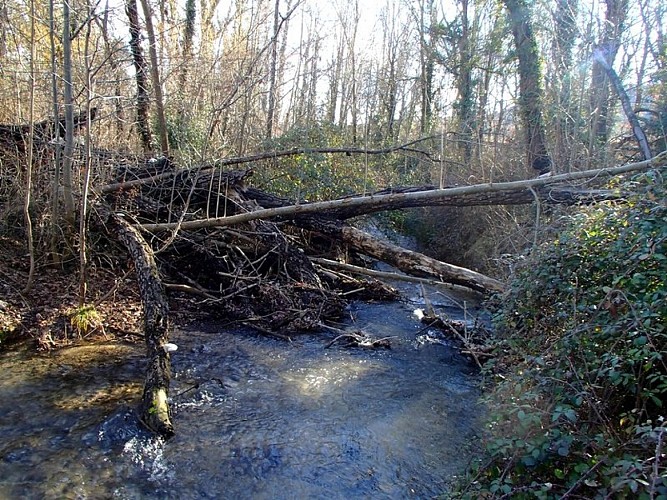 Embâcle sur la Maïre