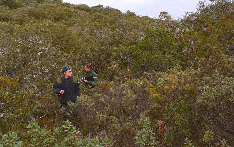 Les agents ONF en action !