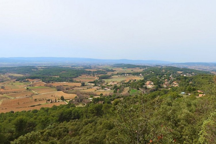 Colinne Saint Julien