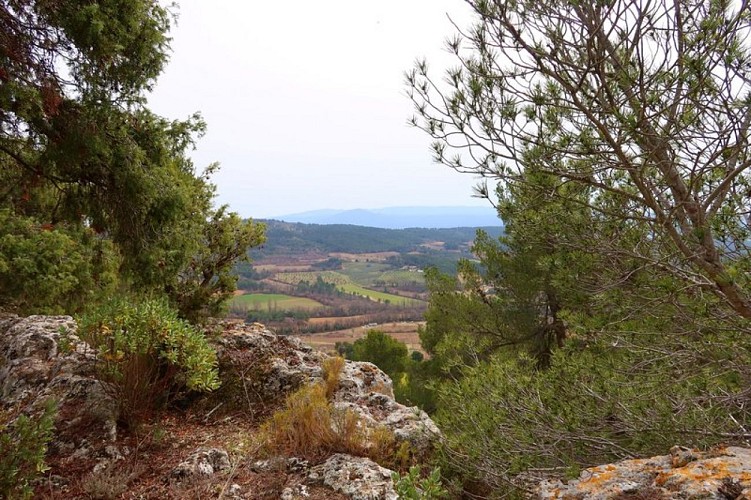 Colline Saint Julien, géosite