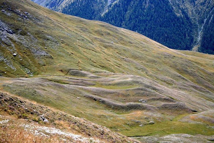 Pergélisol, mollisol, gélifracts et thufurs