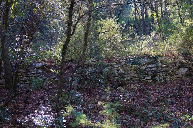 Vestiges de terrasses