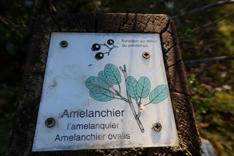 Borne d'identification en chemin