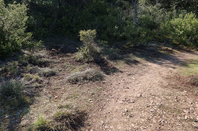 Ancienne charbonnière