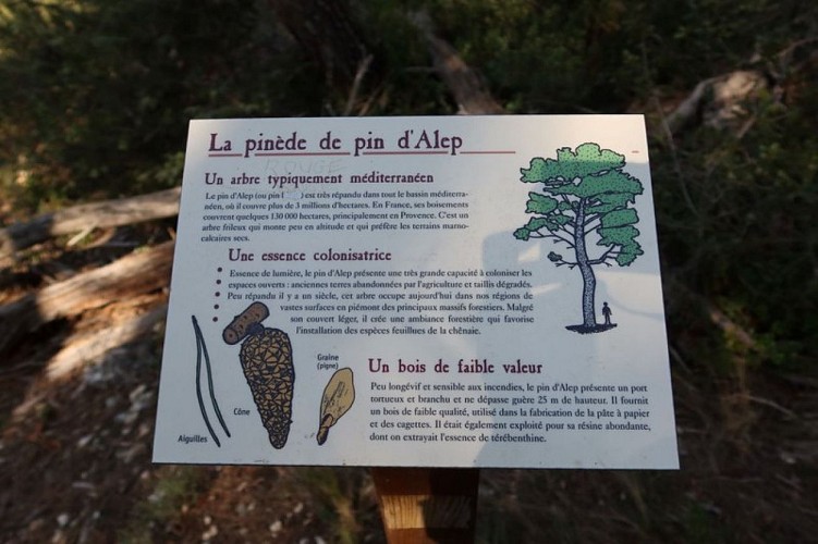 Panneau d'interprétation en chemin