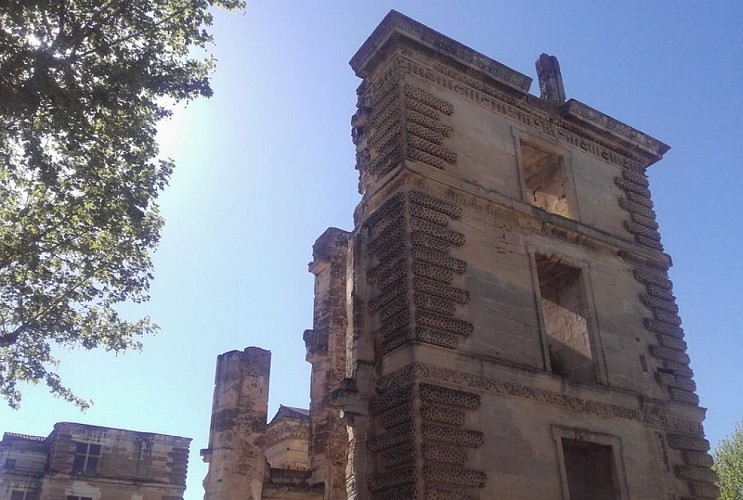Château de La Tour-d'Aigues