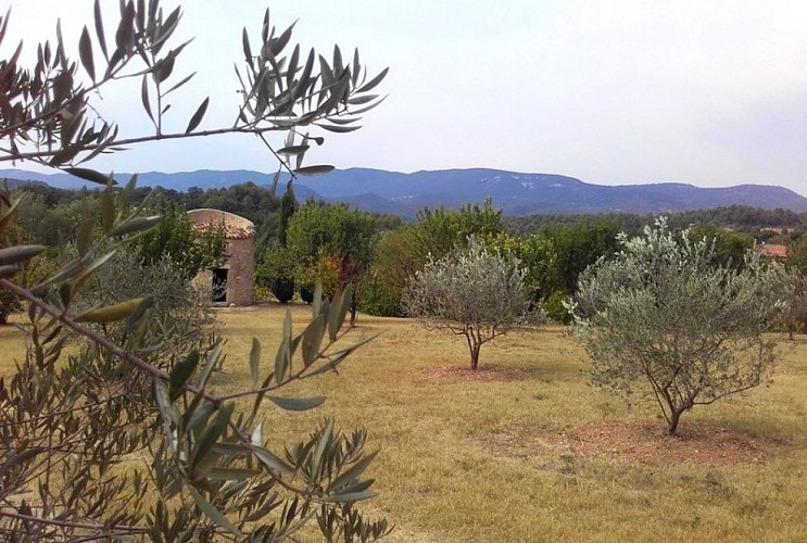 Verger villageois de Grambois