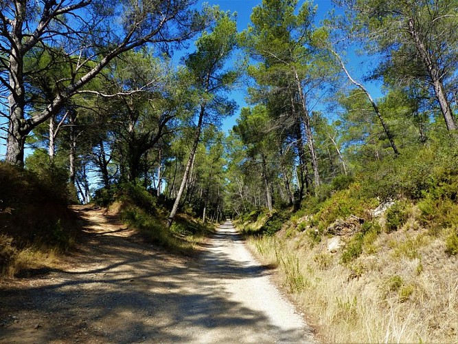 Tracé de l'ancienne ligne ferroviaire