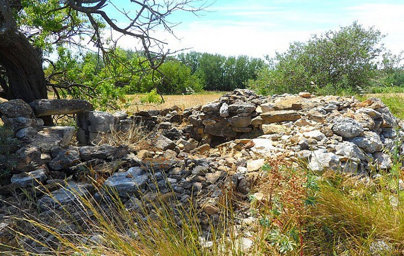 Ruines de la cabane