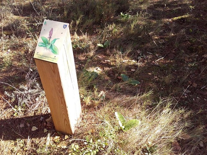 Borne d'interprétation