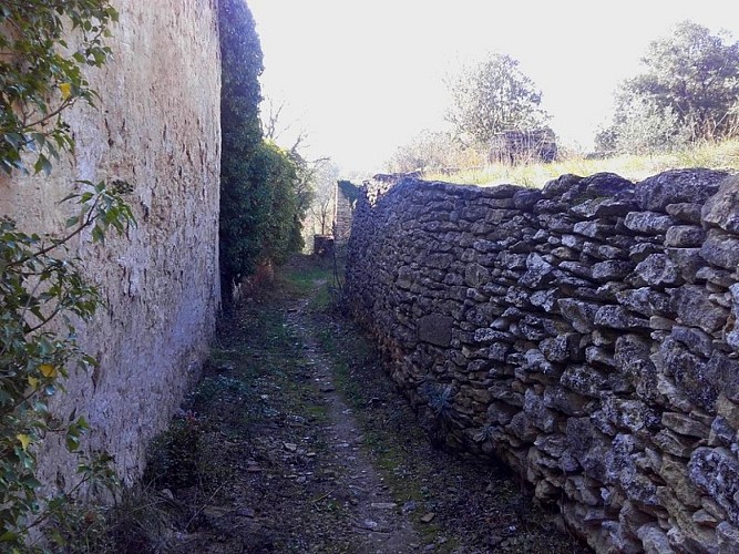 Chemin rural des garrigues