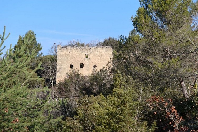 Ruines des garrigues vues du Sud
