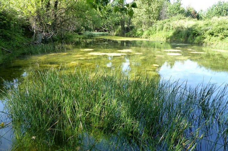 Mare de La Virginière