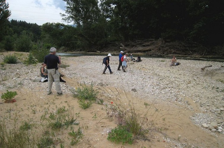 Lit du Calavon - Coulon