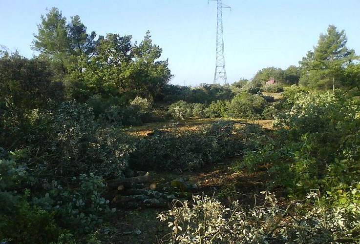 Débroussaillement sour la ligne RTE