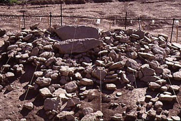 Quadrillage de la zone de fouille