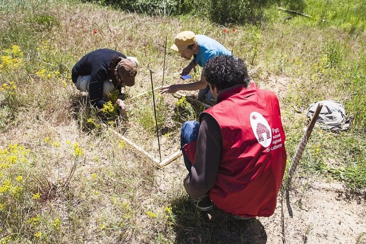 Suivi scientifique de la Bassie