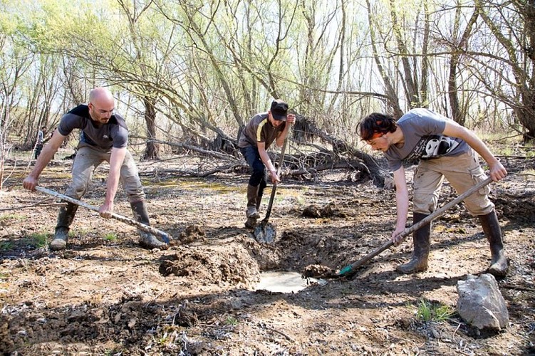 Restauration de mare