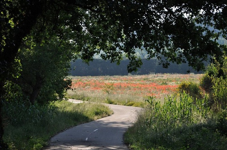 Véloroute du Calavon (EV8)