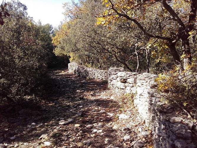 Mur en pierre sèche