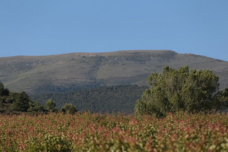 Montagne d'Angèle
