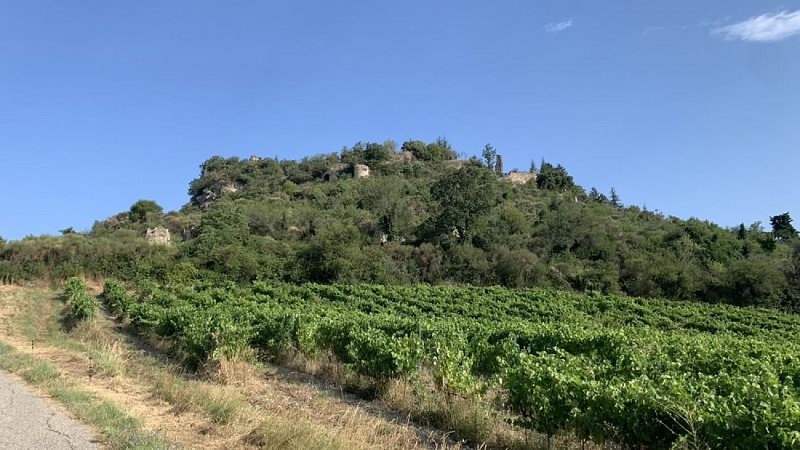 Ruines du vieux village de Condorcet