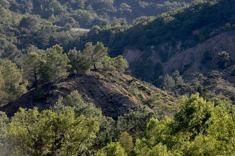 Les anciennes mines se cachent derrière ces collines ocres