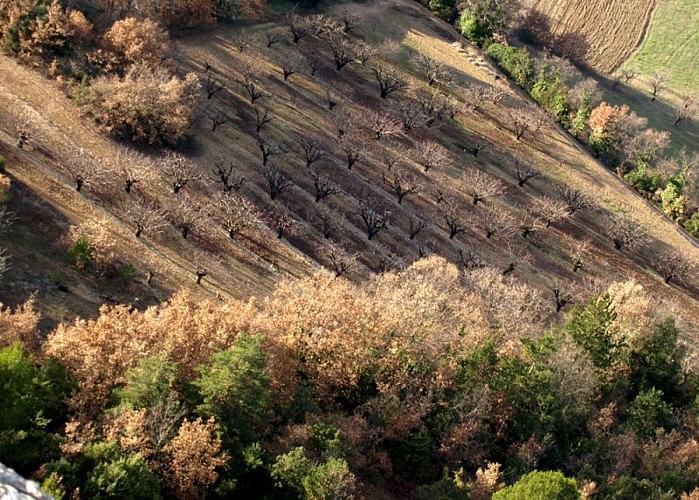 Vergers en aval de la Verrerie