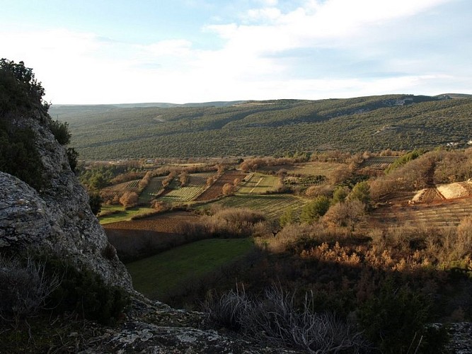 Vergers en aval de la Verrerie